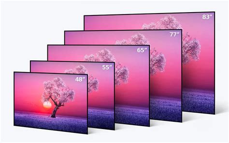 LG oled tv sizes